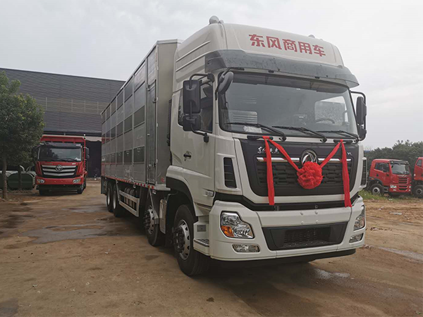 東風(fēng)天龍9.6米畜禽運(yùn)輸車